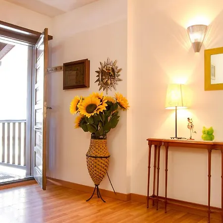 Apartment Refugi D Incles 1 *